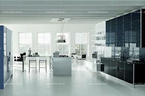 stosa-cucine-2-walls-kitchen-brillant-007-black-glass-with-flower-decor-italy_01