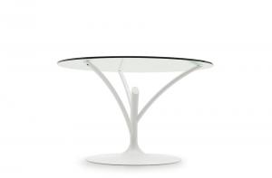 calligaris-round-glass-fixed-table-acacia-cs-4071-v120-italy_03.jpg